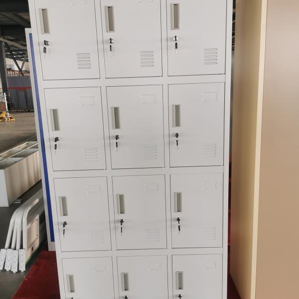 STEEL LOCKER 12 DOOR